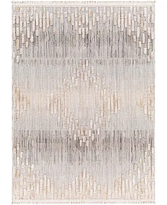 Zaragoza ZRZ-2303 5'3" x 7' Area Rug Express Delivery