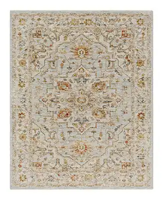 Direct From Factory Reina REN-2304 2' x 3' Area Rug