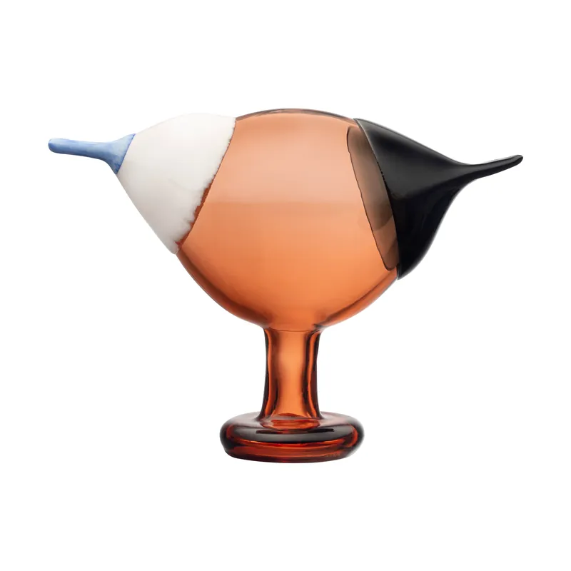 Today Only Kustskata 250x175 mm birds by Toikka, Bitter orange