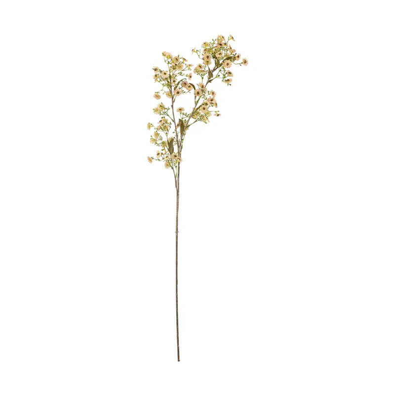 Trending Stem wax flower, White