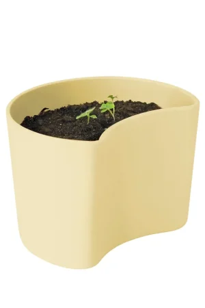 YOUR TREE pot with seeds, Yellow (Beech) Authentic