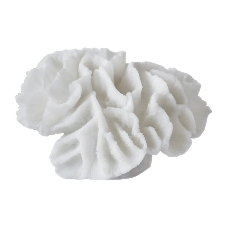 Free Delivery Coral gills, White