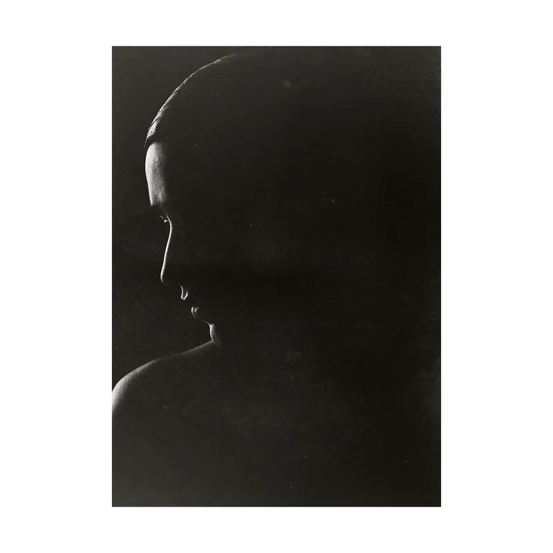 The Silhouette poster, 30x40 cm Modern