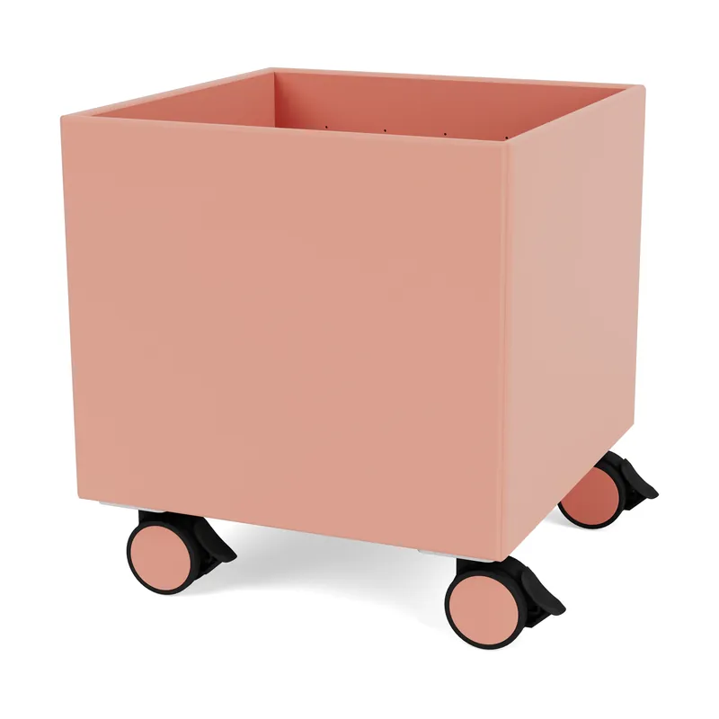 Colour Box I – S6161, New white Direct From Factory