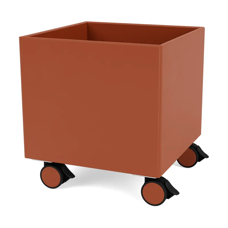 Colour Box I – S6161, New white Exclusive Offer