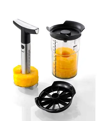GEFU Stainless Steel 4 Piece Pineapple Slicer with Container Time-Limited