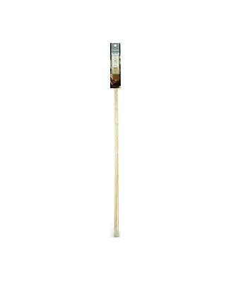 Smores Marshmallow Sticks (Set of 4) Last Chance