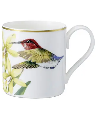 Amazonia After Dinner Cup Latest