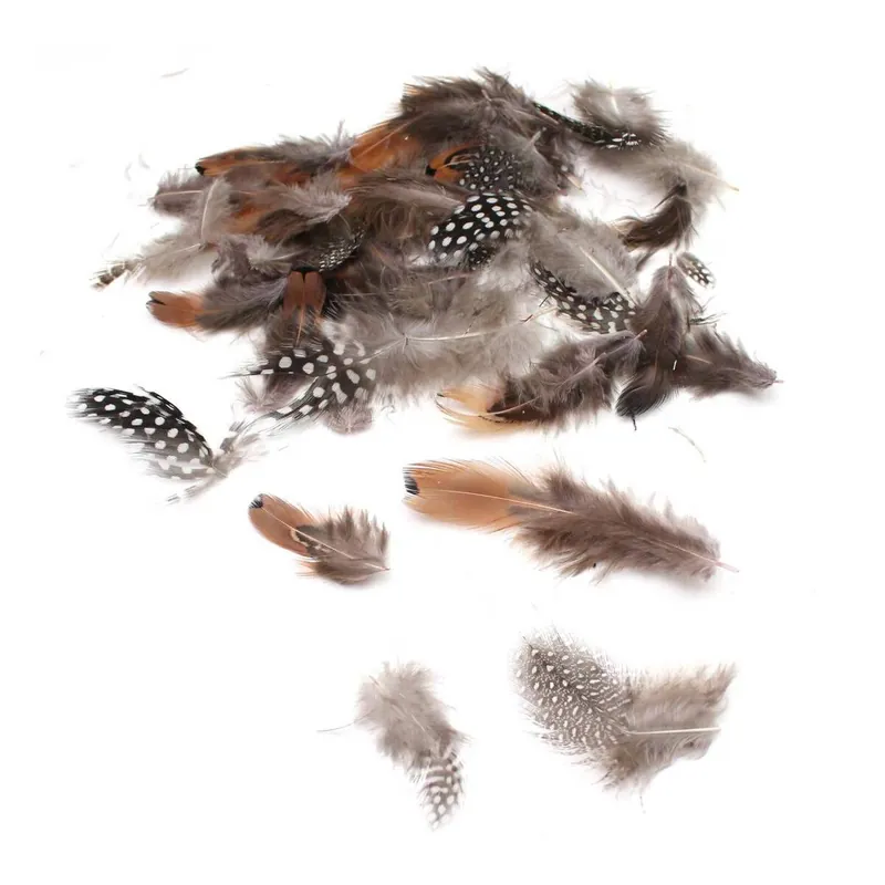Next Day Delivery Natural Luxury Feathers 5g