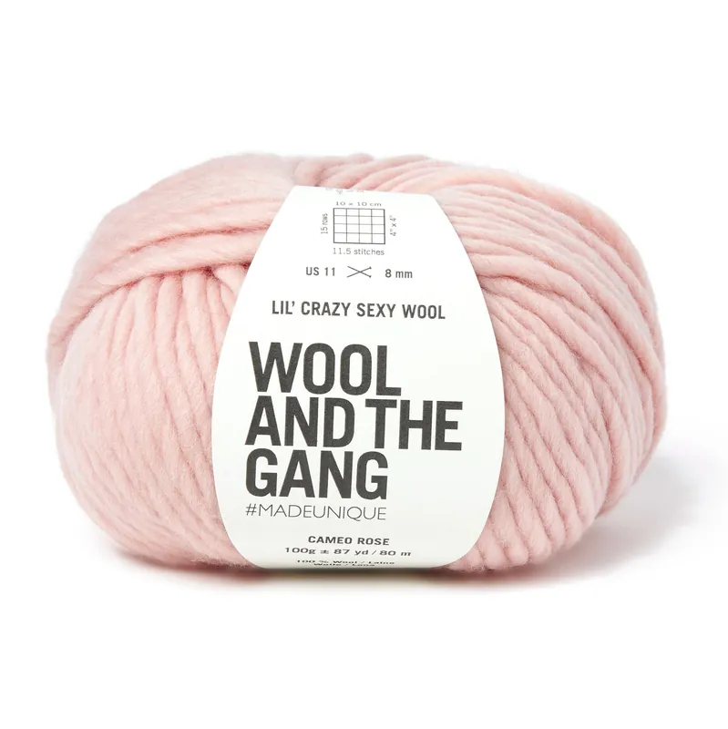 One Day Deal Wool and the Gang Cameo Rose Lil’ Crazy Sexy Wool 100g