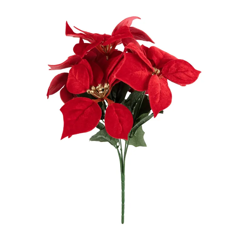 Red Poinsettia Bunch 30cm Free Returns