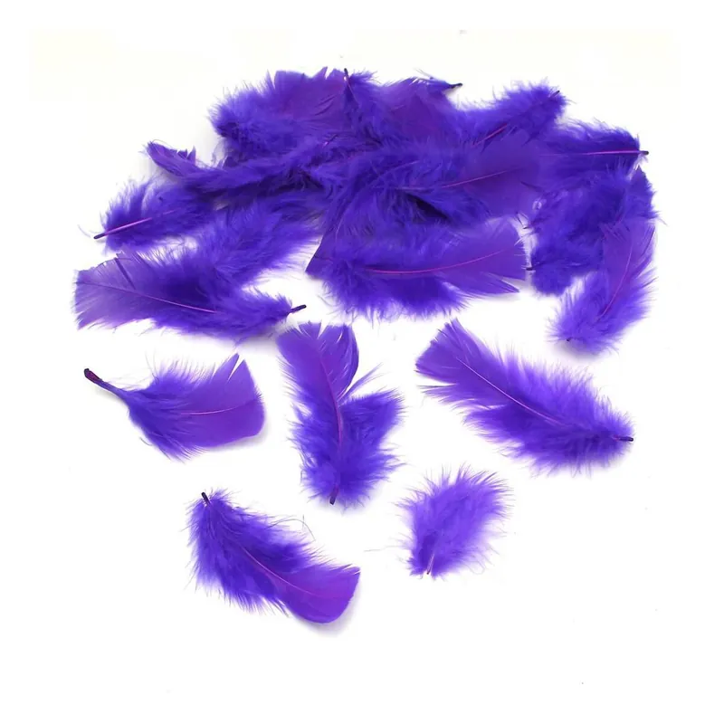 Purple Craft Feathers 5g Bargain