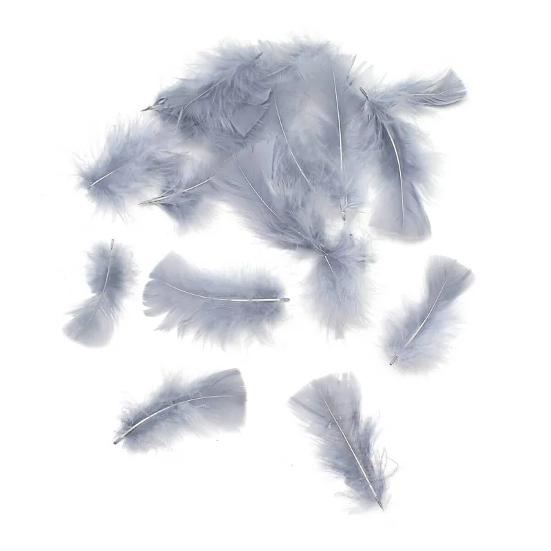 Grey Craft Feathers 5g Grab Now