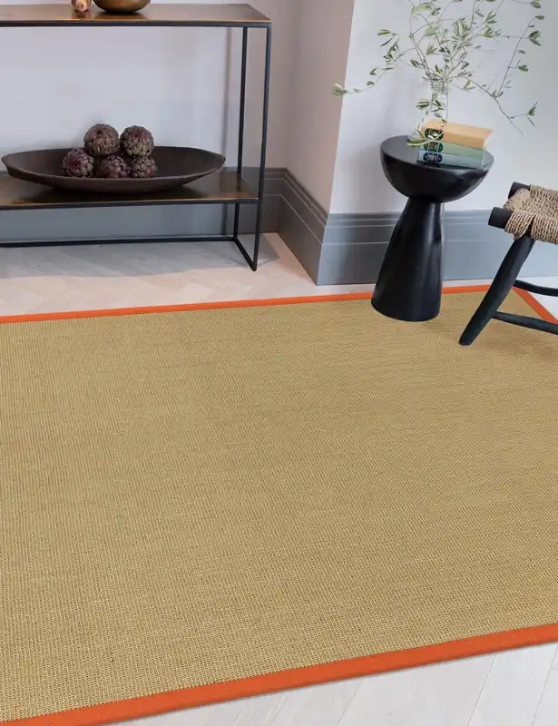 Sisal Rug Hot Deal