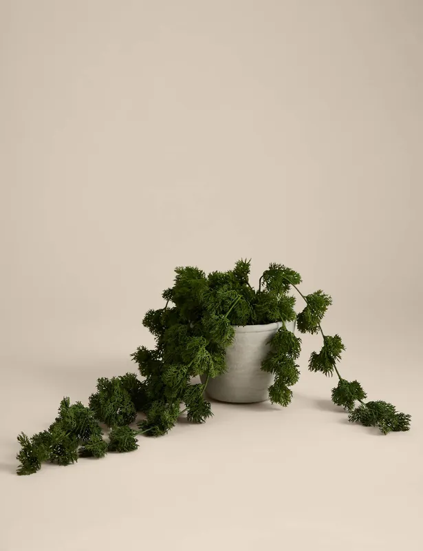 Artificial Trailing Moss in Concrete Pot Factory Price