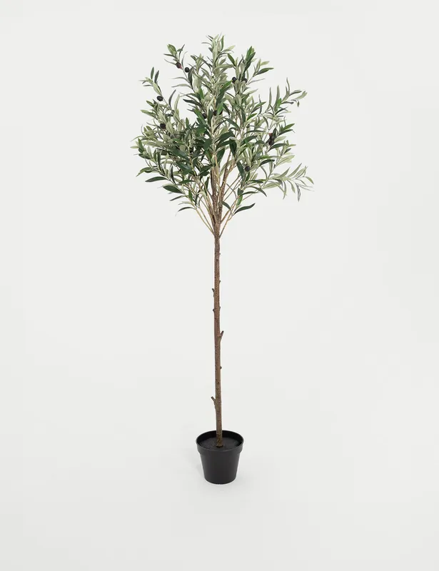 4.5ft Artificial Mediterranean Olive Tree Deal